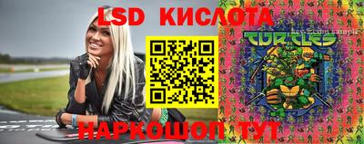 mdpv Камышлов